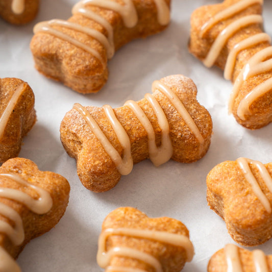 Pumpkin dog treats - gateries citrouille pour chien 